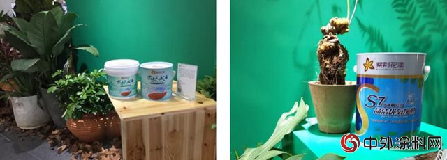 紫荆花漆携环保涂料和健康家居理念亮相杭州国际超级健康展