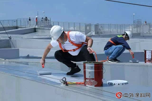 中国水漆20年 打造一个绿色全产业链"127534"