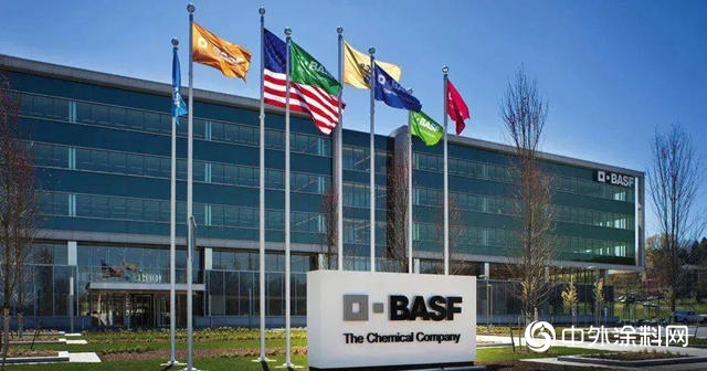 巴斯夫一季度销售额达168亿欧元 涂料业务大幅下滑