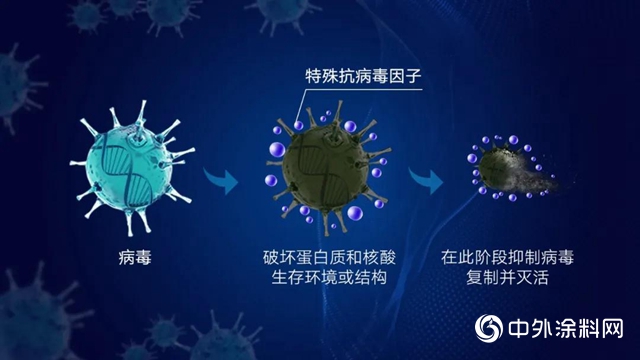 科技刷新生活，立邦中国上海研发中心成功研发抗病毒卷材涂料