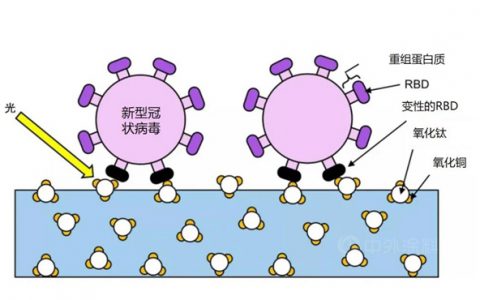 创新涂层科技！立邦与东京大学联合实验声明：新型纳米光触媒技术能有效抑制涂层表面新冠病毒和Alpha变异病毒