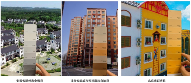 三棵树首发《中国县域建筑外立面色彩解决方案》报告