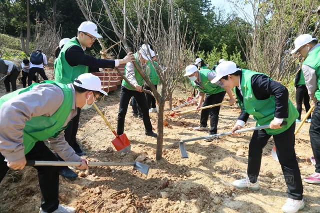 “义点绿·碳中和”三棵树植树造林志愿活动
