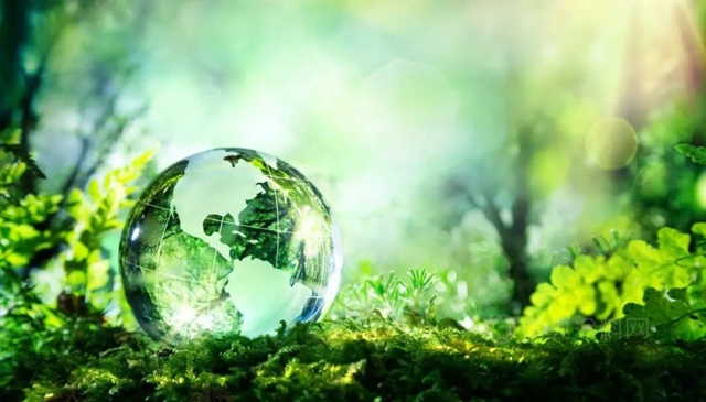 阿克苏诺贝尔：践行环保理念，打造绿色照明时代