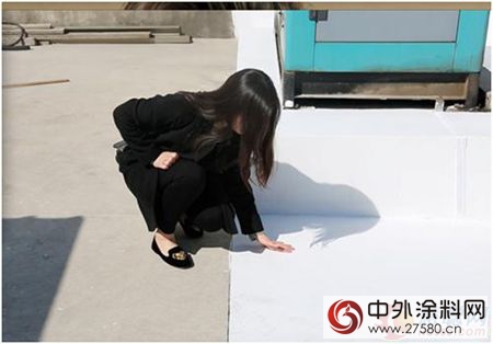 芬琳漆：国内首个节能降温“冷屋顶”涂料工程案例"121359"