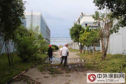察灾情，送关怀 ----广东涂协走访受台风影响严重的会员企业