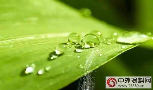 环保节能 和谐生活缔造家：净味水性瓷砖粘结剂