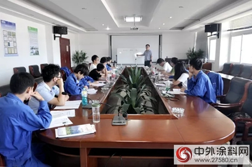 扬大学生来金陵涂料学习实践