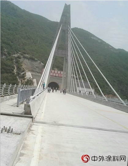 陕西咸阳：鳄鱼漆中标泾河东庄索桥！