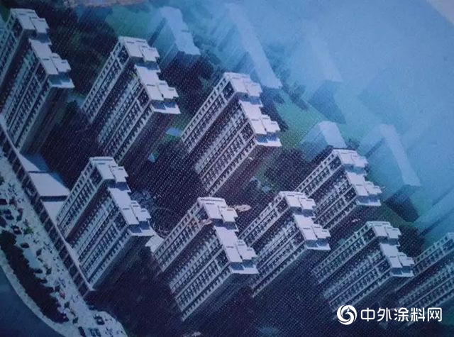 山东潍坊 鳄鱼漆连续中标两项目！"129895"