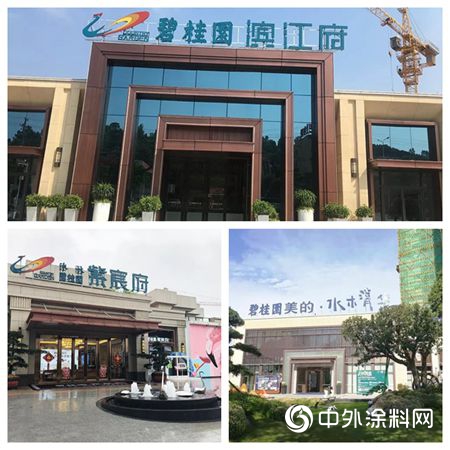 美涂士荣获碧桂园地产战略合作优秀供应商奖