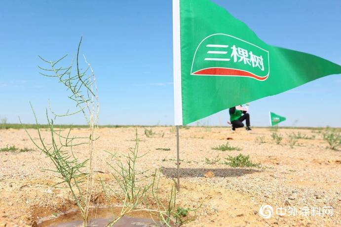 万众益心，千里植行——三棵树绿色大使再访阿拉善"
132477"