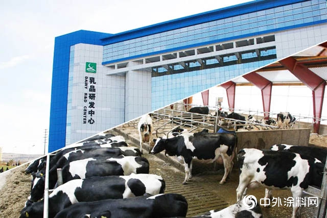 蒙牛脱脂奶粉仓库