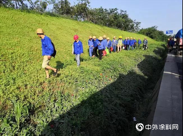 龙佰集团“世界环境日”系列活动丰富多彩"133521"