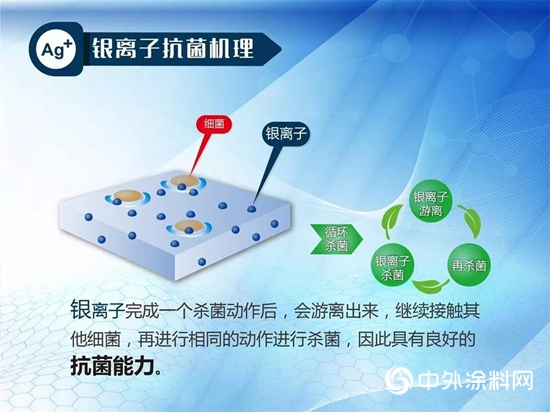 大宝台洁丽银抗菌墙面漆：超强抗菌功效，营造洁净空间