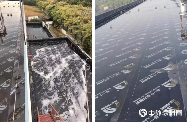 东方雨虹：告别渗漏，焕发新生——首都机场动力能源焚烧站屋面防水维修项目