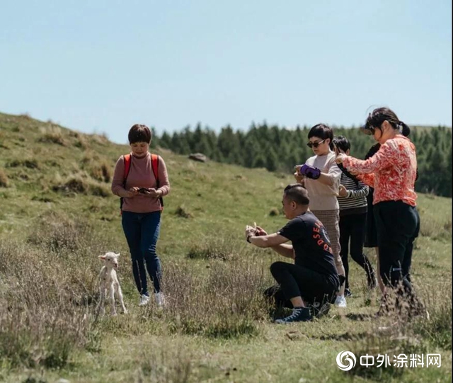 向世界出发 嘉宝莉经销商开启新西兰之旅