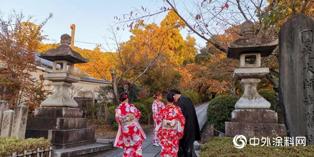 乘“枫”而行 首批经销商日本考察之旅圆满落幕