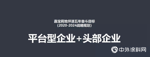 志在千里追梦时—嘉宝莉新材料年度总结及规划视频会议胜利召开