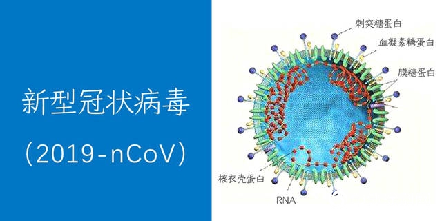 大隐于水| 新冠病毒蕴含的三条商业启发"137472"