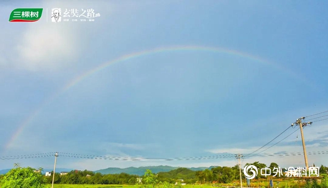 三棵树戈三领导力实践营武夷山拉练活动圆满结束"
140367"