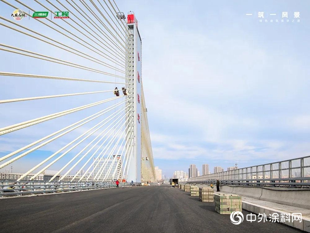 三棵树助力承载世界三项之最——乐凯大街南延工程斜拉桥顺利通车