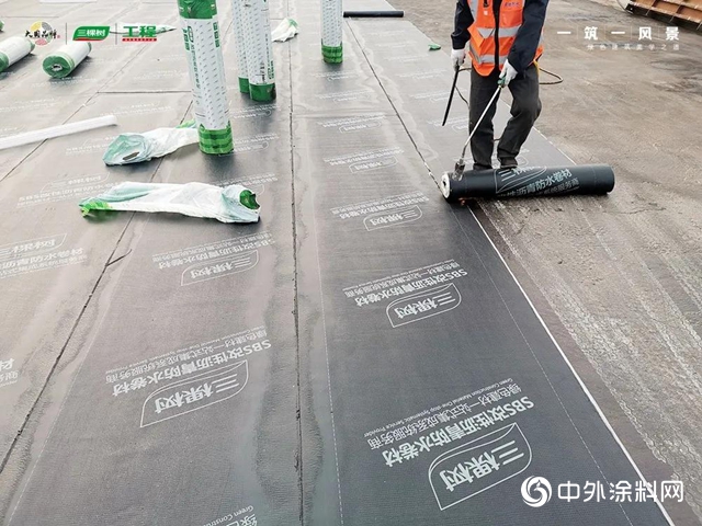 三棵树助力承载世界三项之最——乐凯大街南延工程斜拉桥顺利通车