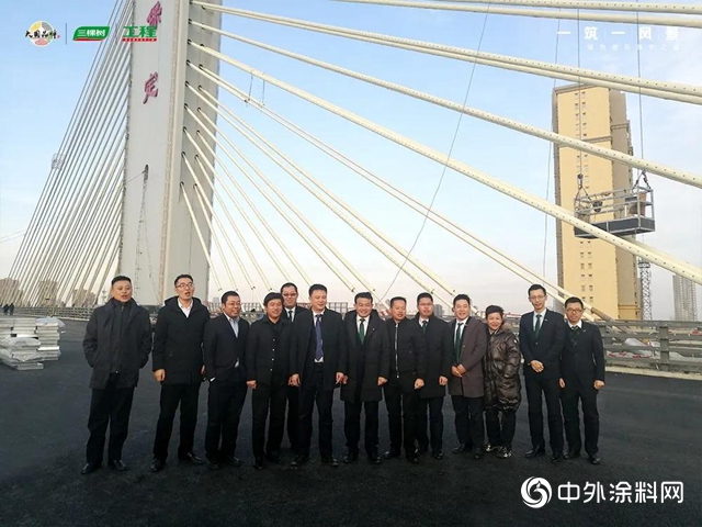 三棵树助力承载世界三项之最——乐凯大街南延工程斜拉桥顺利通车