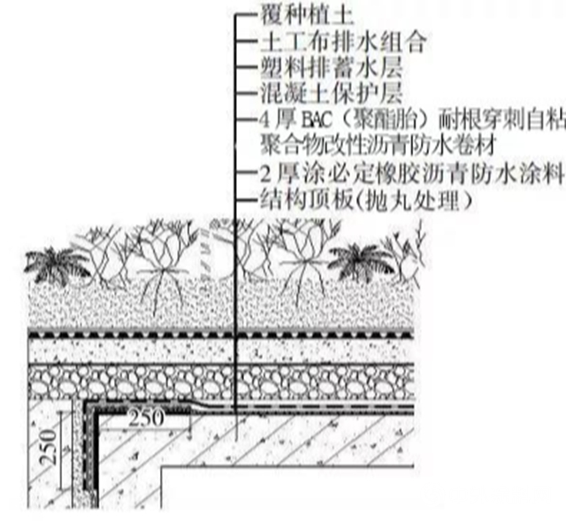 守护滨海浪漫，卓宝打造三面临海的金禹奖金奖项目｜项目回访