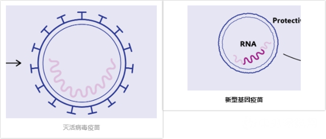 助力新冠疫苗研发！赢创为基因疫苗提供核心技术