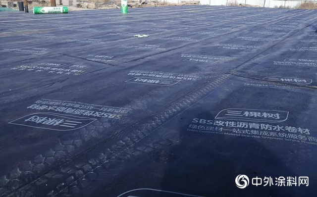 三棵树防水助力内蒙古自治区第一大航空枢纽——呼和浩特白塔机场升级改造工程