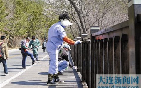 大连1.5万升油漆给木栈道穿“防护衣””
47750″