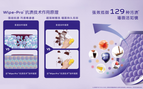 阿克苏诺贝尔推出全新镜洁无添加墙面漆”
47578″