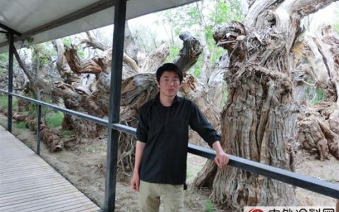 以团队作战：访宝塔山漆乌鲁木齐代理商王维刚