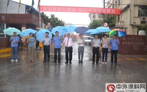 陕西省质量管理奖评审委员来宝塔山漆进行现场评审