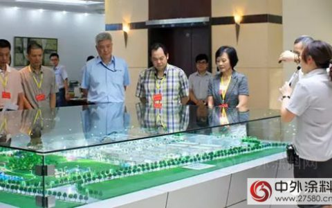 东莞市委常委李小梅大宝化工调研