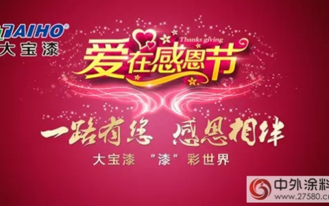 大宝漆“漆”彩世界 感恩有你