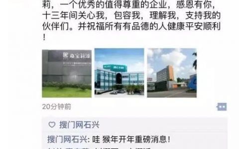 透析嘉宝莉高管跳槽背后的风云变幻