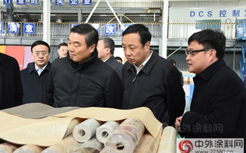国家开发银行董事长胡怀邦考察科天集团