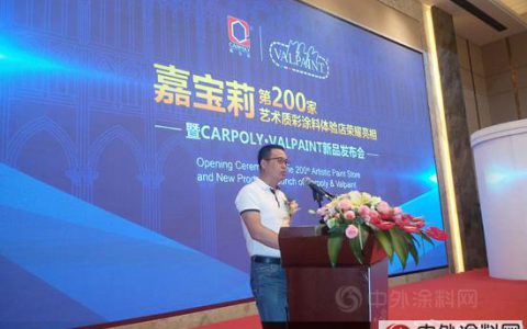 中国涂料工业协会梁海生：发力艺术涂料正当时
