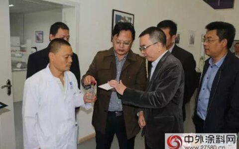 绵阳市副市长罗宗志到麦思威尔科技调研