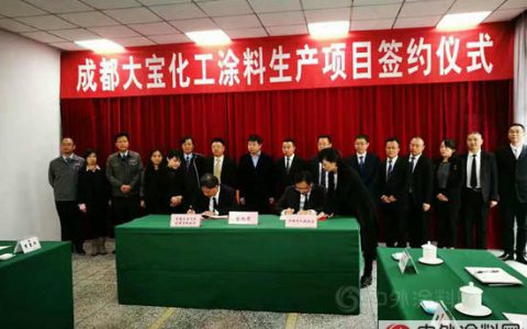 双十一，成都大宝项目签约"
118767"