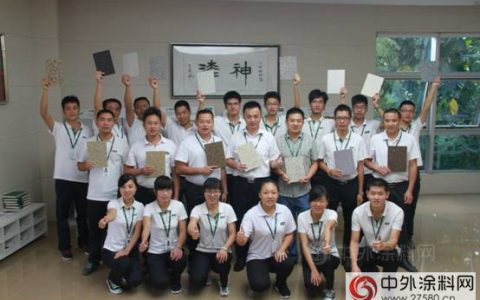 三棵树天彩石热刷全国，百人专业技术团队倾情付出