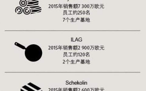 Looser Holding控股公司已宣布计划出售其涂料业务