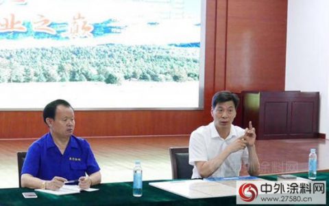 上海岩彩科技孙保林总经理来晨光做报告"
122443"