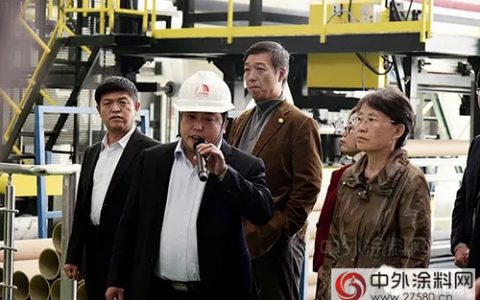北京化工大学党委书记王芳考察岳阳东方雨虹