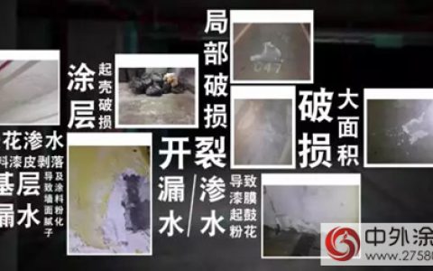 多乐士专业发布车库焕新服务五大系列