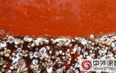 新型环保涂料问世：有效对抗船只/水体工程生物淤积