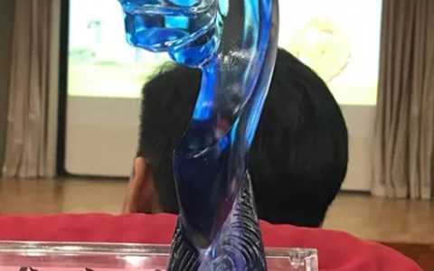 东方雨虹被江苏保利地产授予优秀集采供应商"
126221"