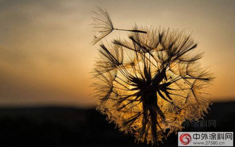 涂料的行业性涨价，到了再涨一波的时候了